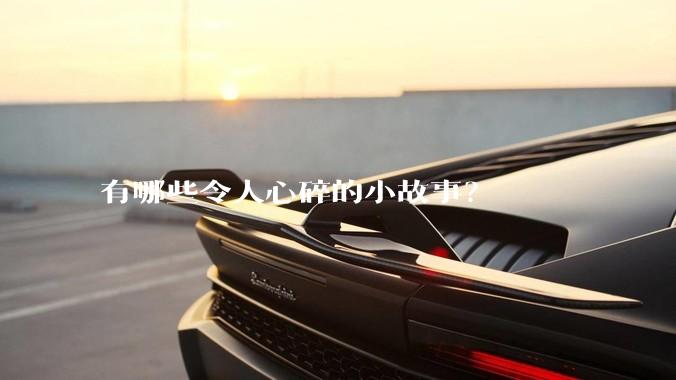 有哪些令人心碎的小故事？